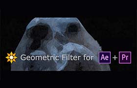AE/PR插件-抽象几何视觉化效果 Geometric Filte v1.1.0 Win