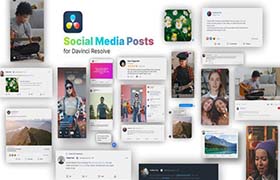 达芬奇模板-网络社交媒体交友平台相关的元素包装动画 Social Media Posts