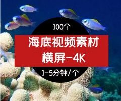 海底风景视频素材