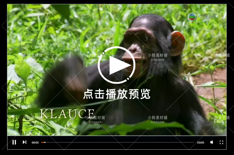 BBC动物探索纪录片猴子大观全3集中视频自媒体解说高清视频素材插图7
