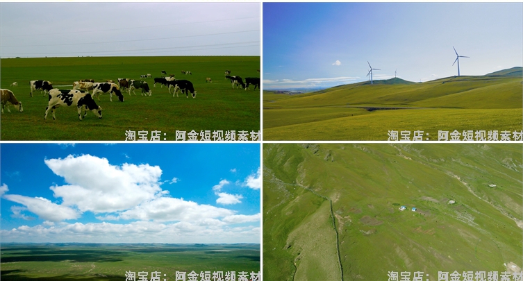 内蒙古呼伦贝尔蓝天白云风光大草原羊群风景素材航拍旅游短视频插图8
