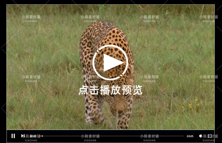 国家地理野生动物纪录片超级大猫全5集中视频自媒体解说视频素材插图7
