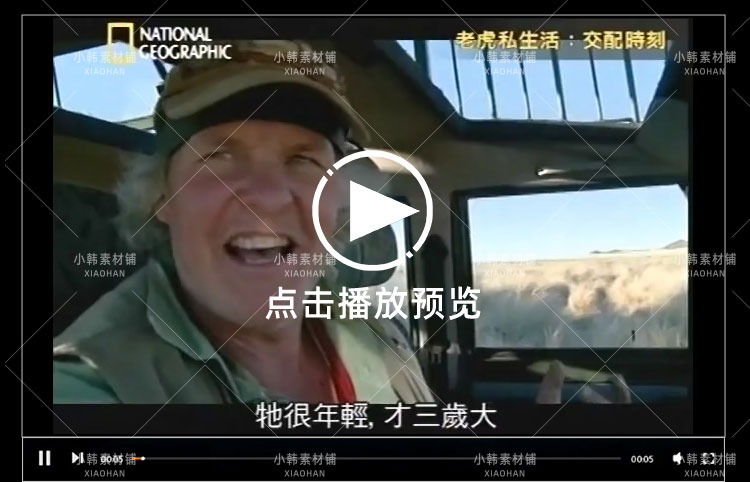 国家地理野生动物纪录片老虎私生活中视频自媒体解说高清视频素材插图6