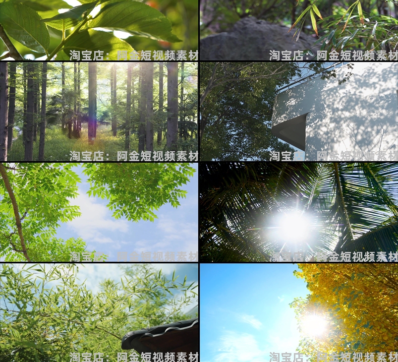 夏日透光阳光大自然空境头实拍唯美树叶背景森林绿叶剪辑视频素材插图5