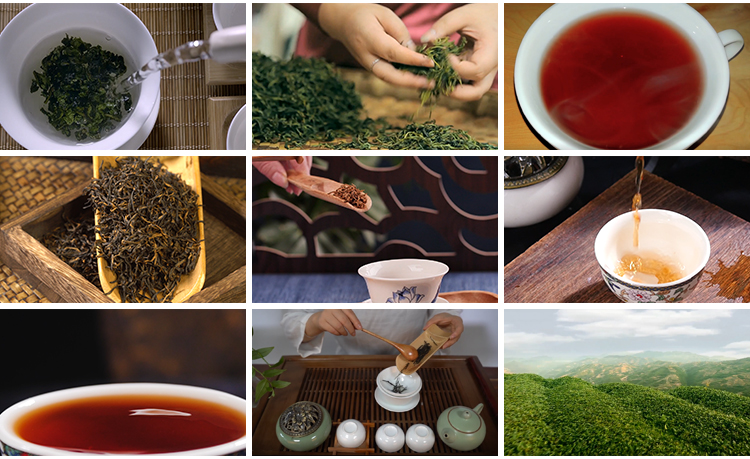茶园采茶嫩绿色茶树特写茶艺文化茶道泡茶山红茶喝茶采摘视频素材插图8