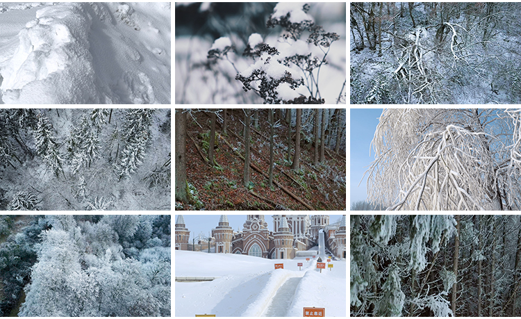4K冬天雪景自然风景下雪冬季美景雪地面雪山唯美山川抖音视频素材插图8