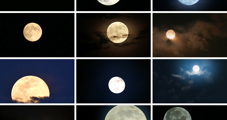 月亮实拍穿过乌云夜景阴云明月圆月满月空治愈系树枝剪影视频素材插图8