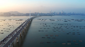深圳晚大桥航拍景色短视频素材