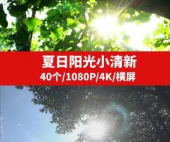 夏日阳光小清新视频素材-