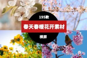 春天春暖花开鲜花盛开素材