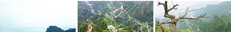 张家界旅游风景点风光山峰山脉高山美景摄影抖音高清图片设计素材插图10