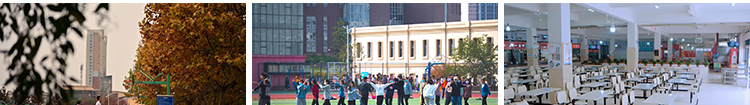 校园青春毕业季图书馆大学校内环境操场教室空镜头实拍短视频素材插图10