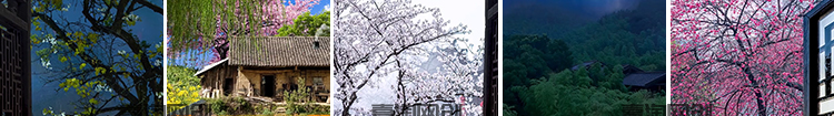 治愈系竖版竖屏深夜唯美风景星空夜景月亮清新抖音快手短视频素材插图10