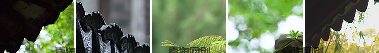 竖版竖屏禅意古风寺庙屋檐下雨天雨水滴落禅意佛系清新短视频素材插图10