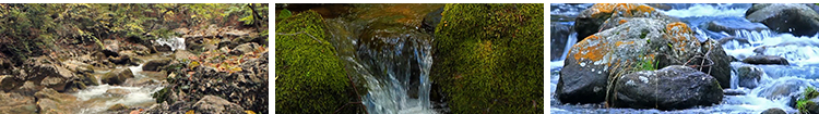 山水瀑布河流动山涧小溪水自然风景流水淌航拍森林风光短视频素材插图10