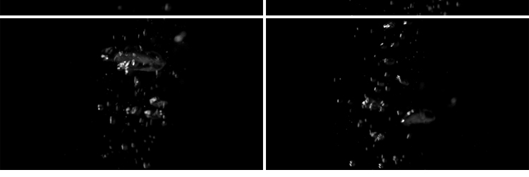 水下海底气泡水底上升水中冒泡动画MOV透明通道pr_ae合成视频素材插图10