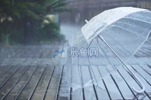 雨天透明雨伞丢落街道下雨视频素材