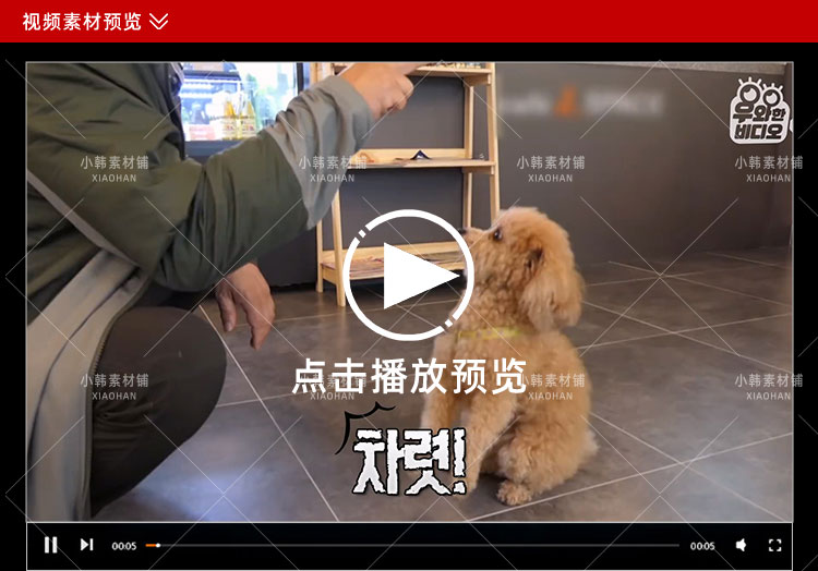 SBS韩国版走近科学纪录片天啊,这到底是什么动物中视频自媒体素材插图2
