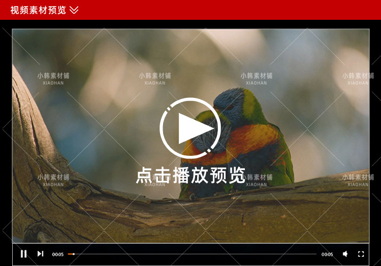生命探索纪录片恋爱中的动物们中视频自媒体解说高清剪辑视频素材插图3
