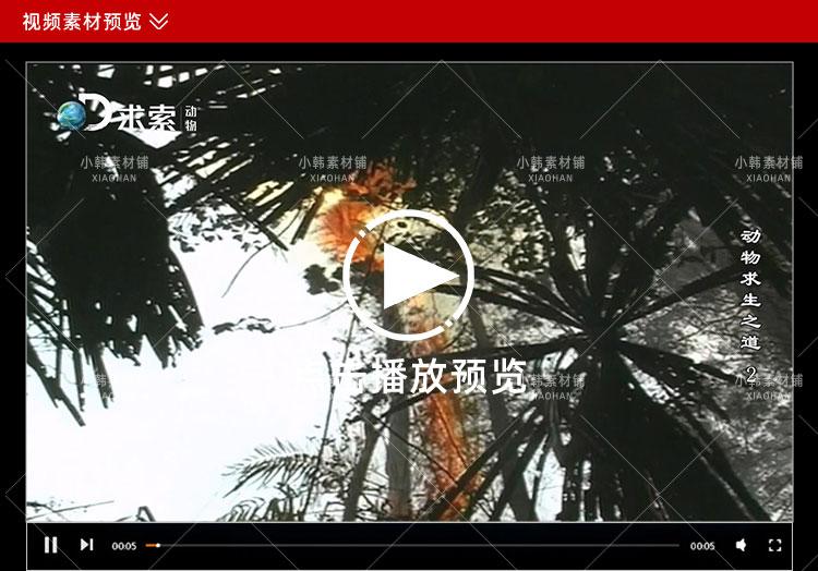 探索频道生命探索纪录片动物求生之道中视频自媒体解说视频素材插图3