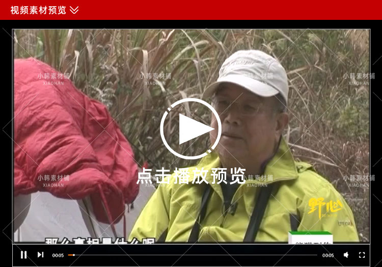 野生动物保护纪录片熊猫列传全10集中视频自媒体解说高清视频素材插图3