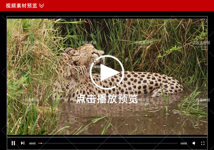 野生动物纪录片非洲动物乐园全3集中视频自媒体解说高清视频素材插图3