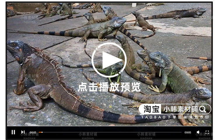 捕蛇纪录片沼泽猎手：狂蟒入侵1-2季自媒体快手抖音视频剪辑素材插图6