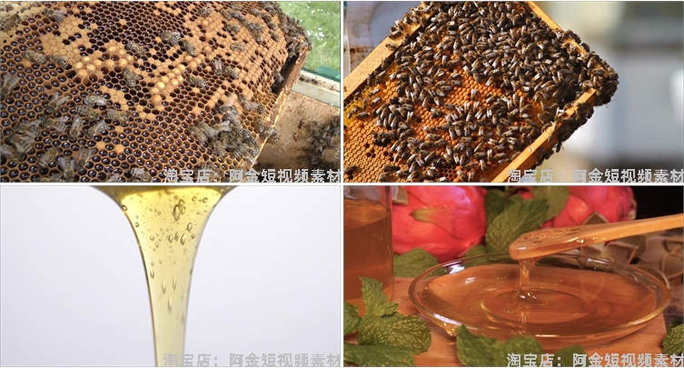 蜜蜂人养蜂蜂巢养殖采蜂蜜蜂箱抖音短视频自媒体高清实拍素材剪辑插图4