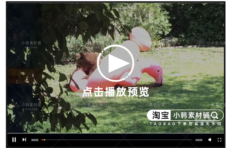 宠物趣味行为纪录片搞笑动物集锦1-2季自媒体抖音视频剪辑素材插图3