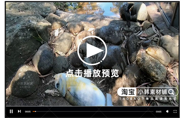 救治动物纪录片动物园秘密全10集自媒体快手抖音视频剪辑素材插图6
