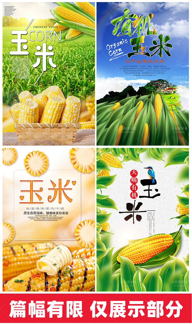 美食餐饮PSD海报背景模板优质玉米食材电商广告设计海报素材插图4