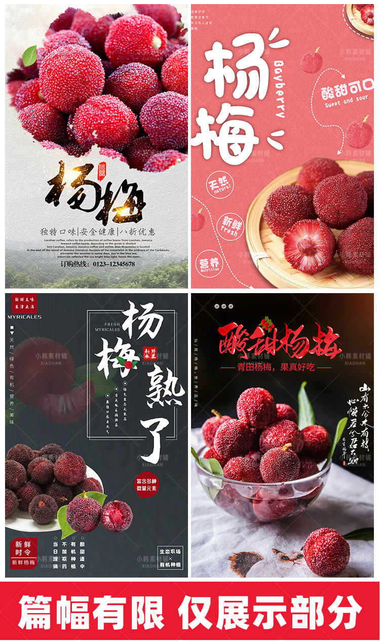 餐饮美食PSD海报背景模板杨梅新鲜水果促销宣传单广告设计素材插图4