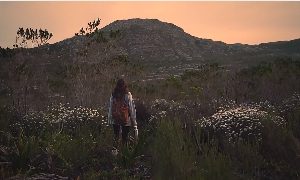 美女大山花间治愈视频素材