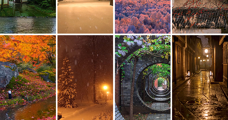 竖版竖屏唯美下雨雪景清新自然风景治愈系美景色直播背景视频素材插图24