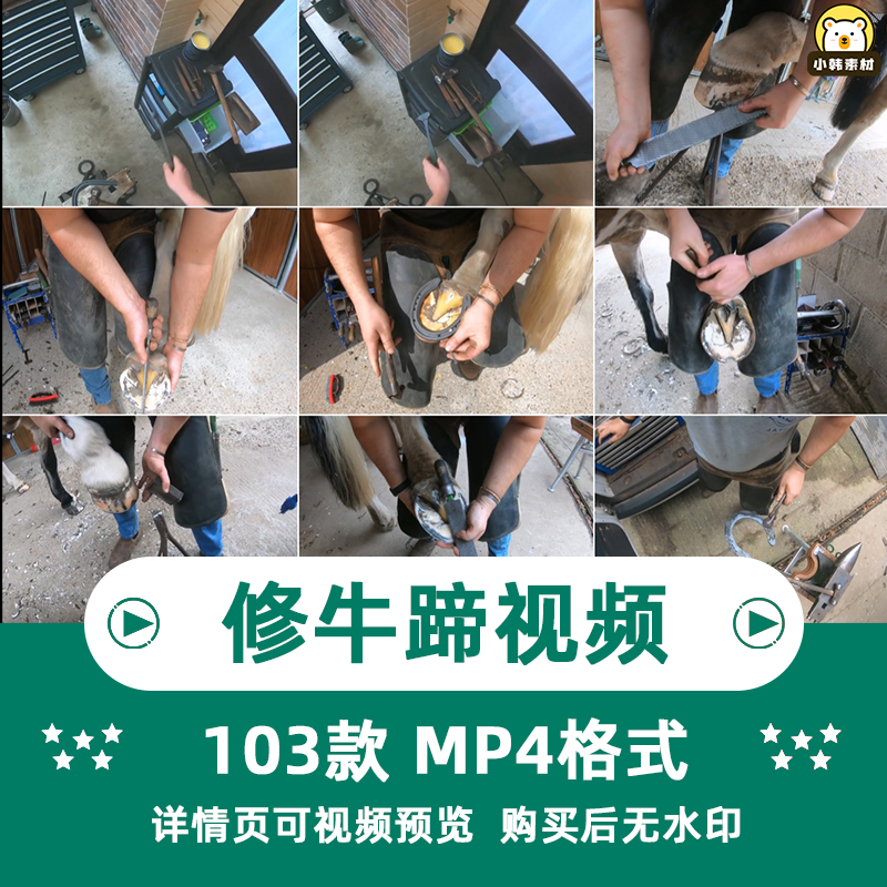 2023解压减压手艺人修理马蹄牛蹄铁锭剪毛驴指甲修复高清视频素材插图