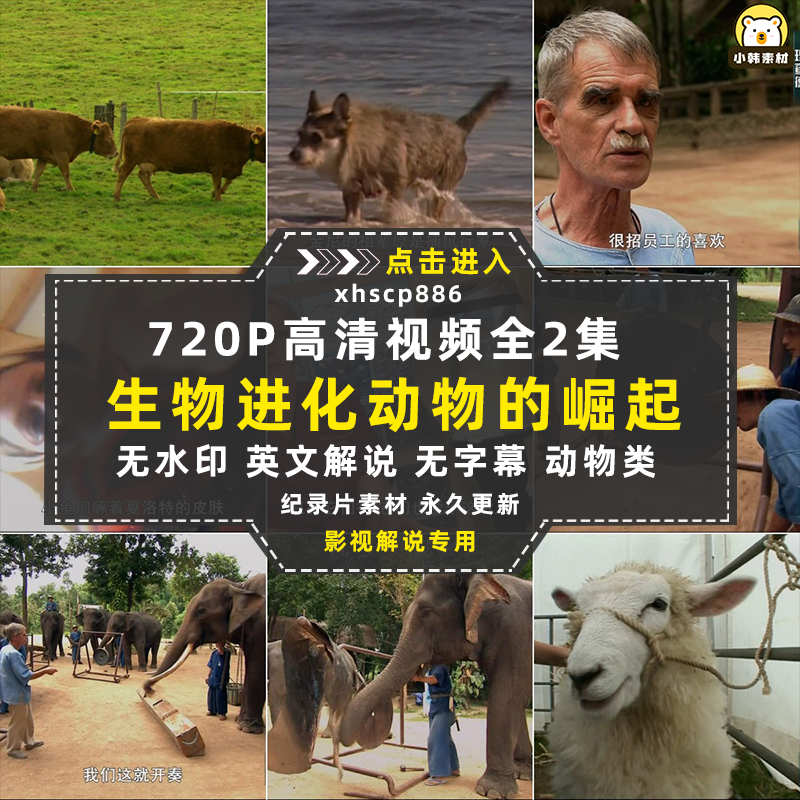 BBC生物进化纪录片《动物的崛起》中视频自媒体解说高清视频素材插图