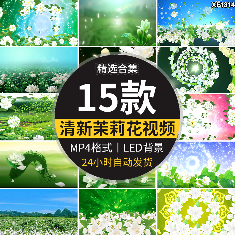 清新唯美茉莉花盛开民族歌曲舞蹈晚会舞台LED大屏幕背景视频素材插图