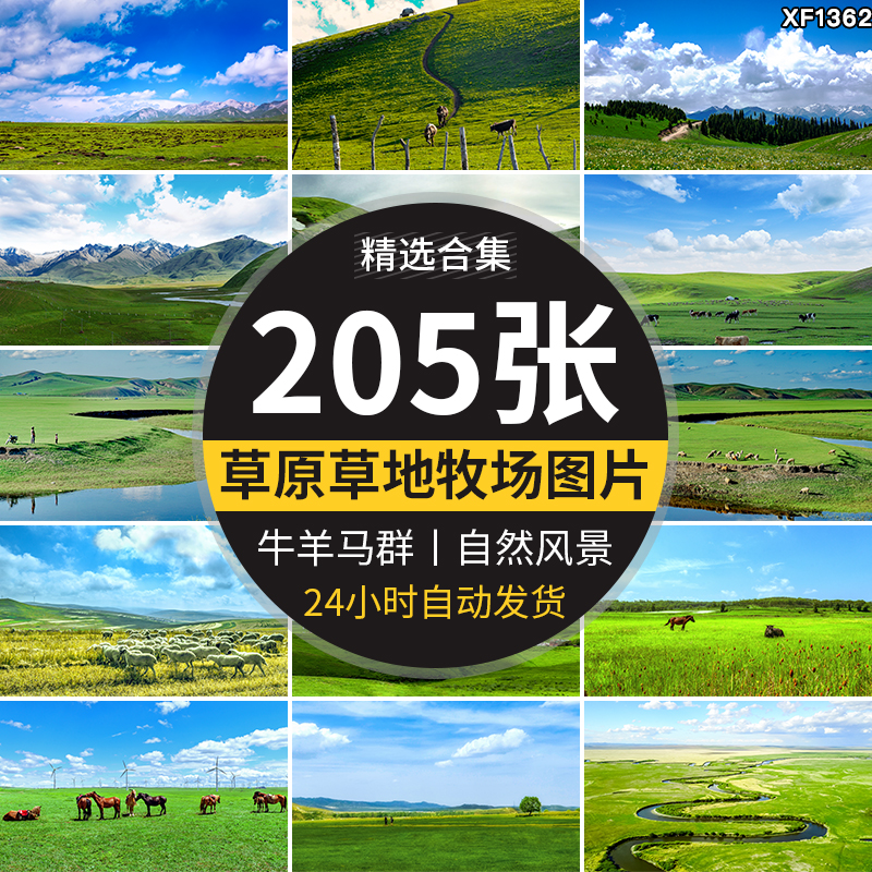 内蒙古呼伦贝尔大草原自然风景草地风光牛羊马群牧场摄影图片素材插图