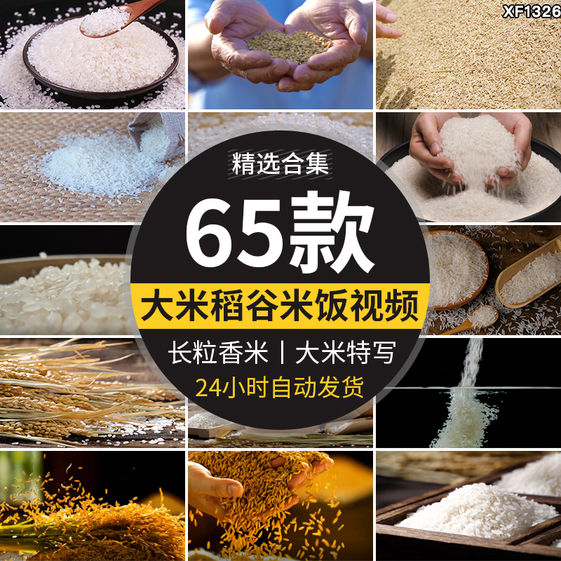 大米特写水稻米饭稻谷长米粒粮食掉落白米抖音自媒体高清视频素材插图