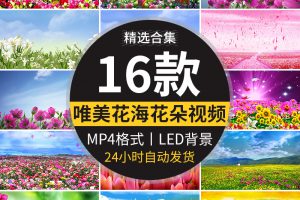 百花盛开唯美花海鲜花花朵花瓣飞舞台婚礼LED大屏幕背景视频素材