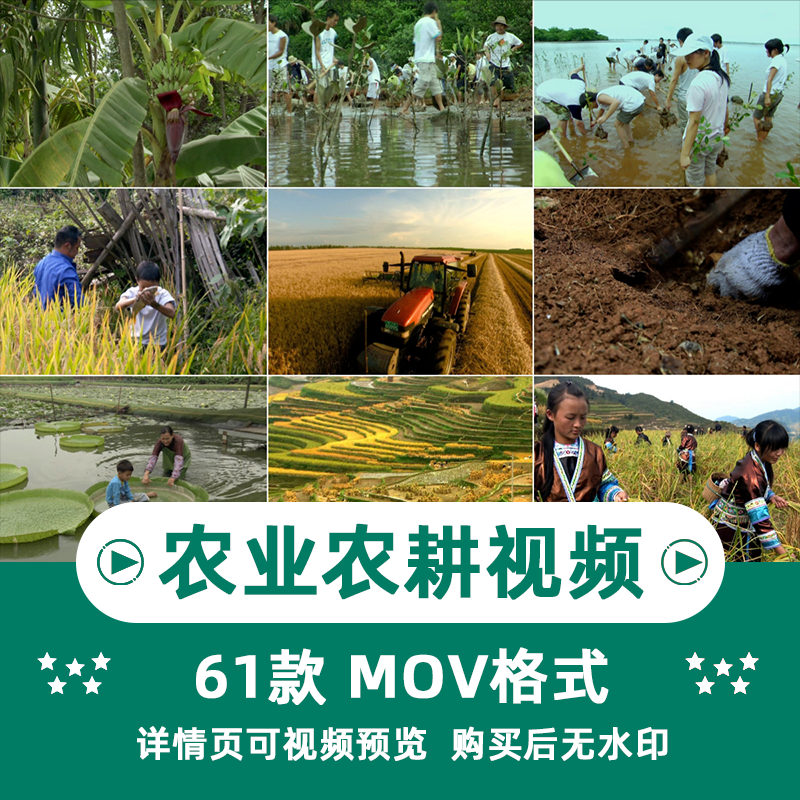 农业农耕收割水稻棉花横版高清抖音自媒体pr剪辑背景视频素材插图