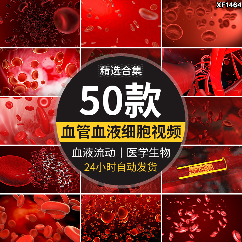 血液血管红细胞病毒医学医疗生物抖音快手自媒体高清剪辑视频素材插图