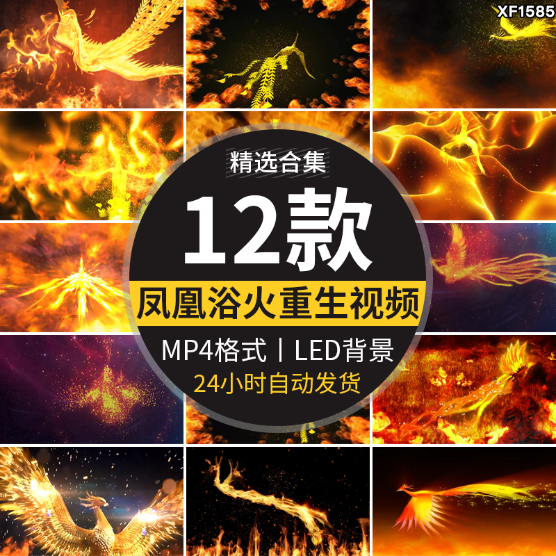 凤凰火焰浴火重生震撼涅槃开场飞翔舞台晚会表演LED背景视频素材插图