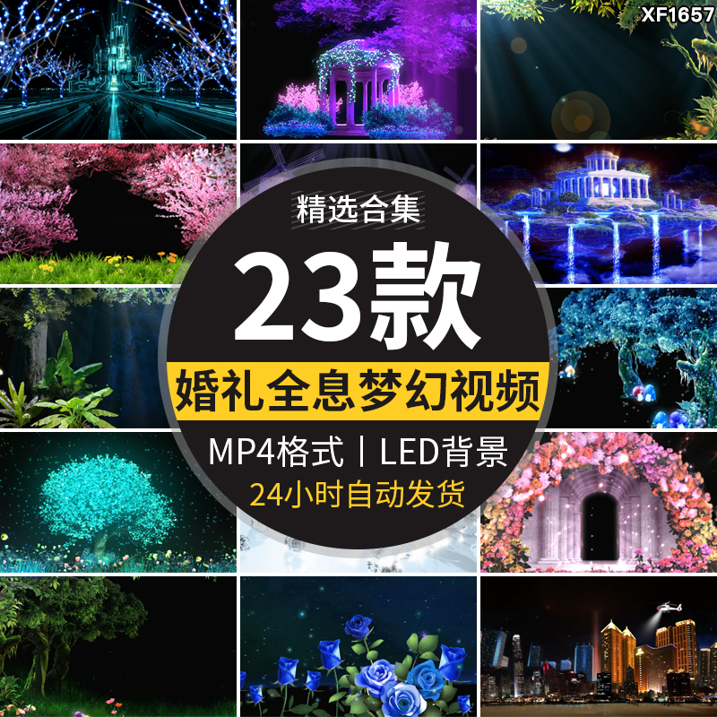唯美婚礼婚庆开场全息梦幻影花瓣森林城堡LED大屏幕背景视频素材插图