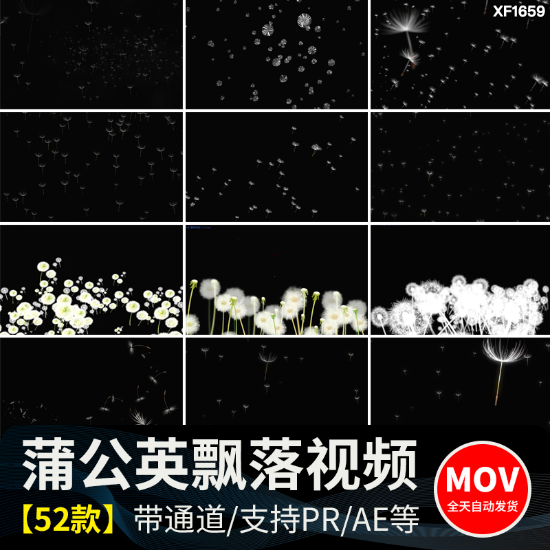 唯美蒲公英飞舞上升飘落漂浮特效后期合成带透明通道MOV视频素材插图