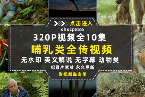 BBC野生动物纪录片哺乳类全传中视频自媒体解说高清剪辑视频素材