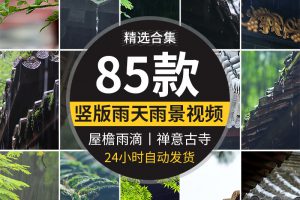 竖版竖屏禅意古风寺庙屋檐下雨天雨水滴落禅意佛系清新短视频素材