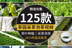 茶园采茶航拍倒茶喝茶文化茶农山茶绿茶泡茶艺茶道茶叶短视频素材