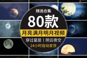 月亮实拍穿过乌云夜景阴云明月圆月满月空治愈系树枝剪影视频素材