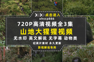 BBC野生动物纪录片山地大猩猩全3集中视频自媒体解说高清视频素材